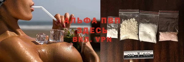 гашик Нея