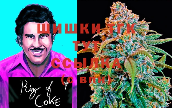 гашик Нея