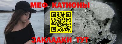 шишки Камышлов