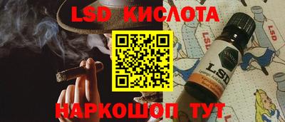 PSILOCYBIN Заводоуковск