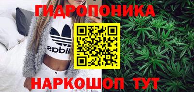 PSILOCYBIN Заводоуковск