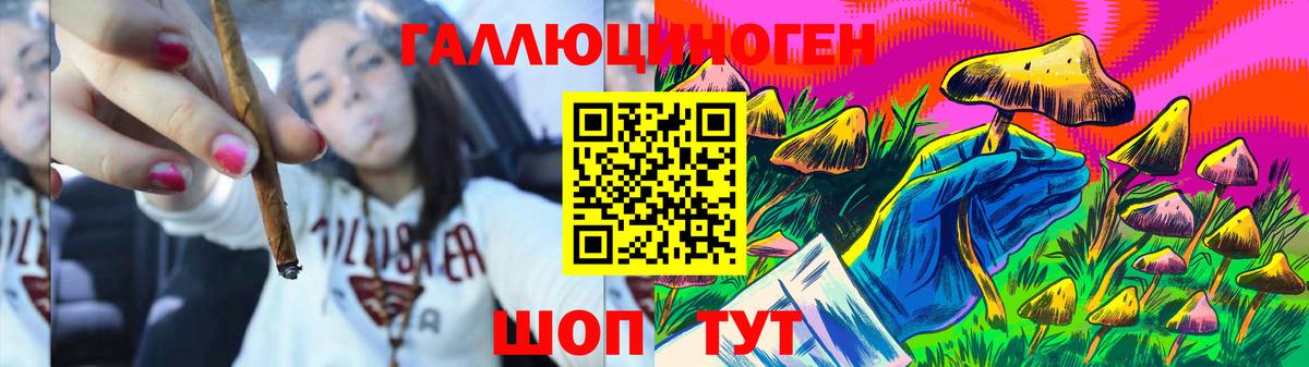 Псилоцибиновые грибы GOLDEN TEACHER  где можно купить   Нижневартовск  Псилоцибиновые грибы Psilocybe 