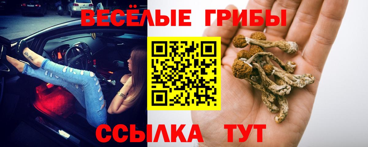 Нижневартовск  Галлюциногенные грибы прущие грибы  Вход с VPN 